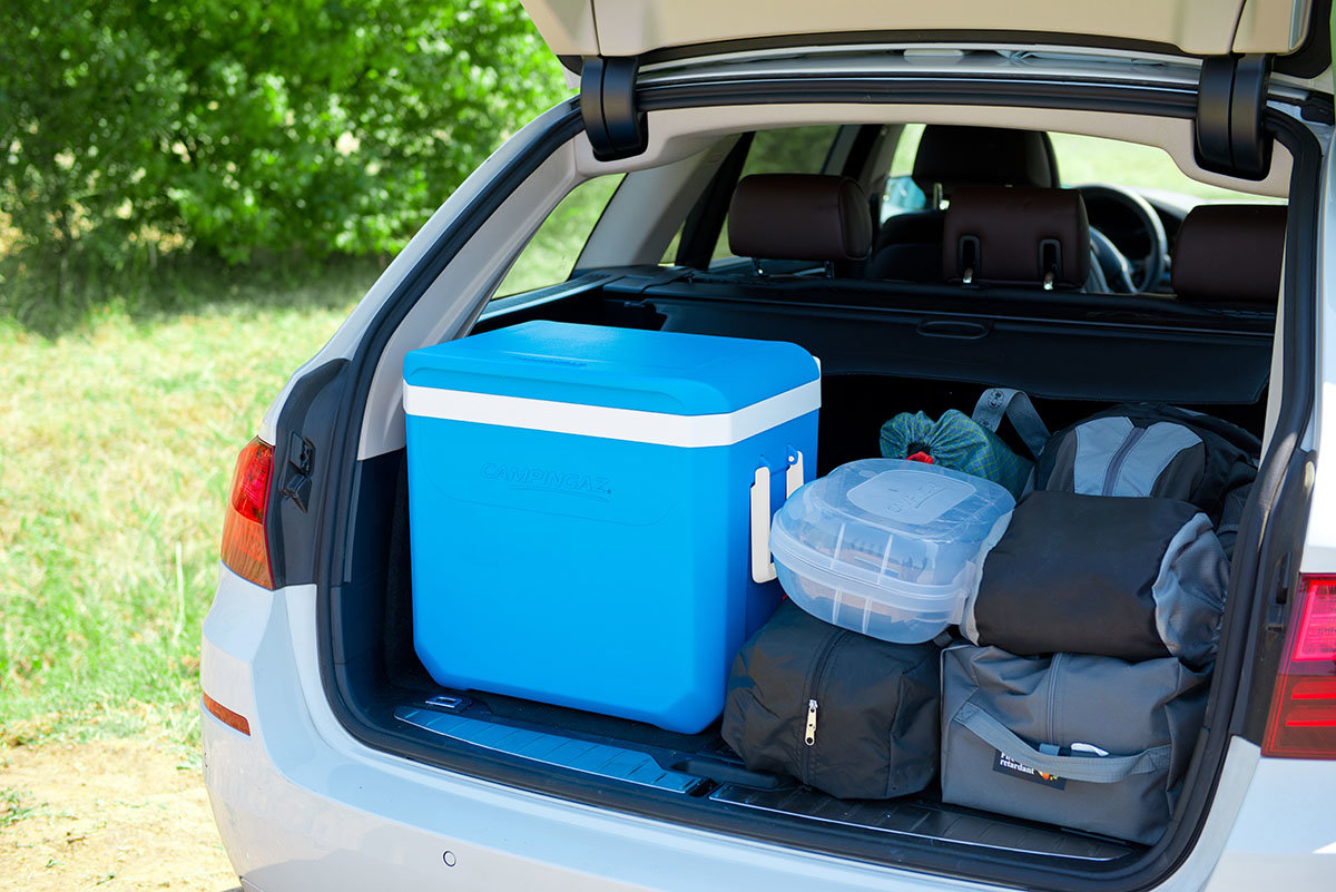 Контейнер Icetime Plus 42L